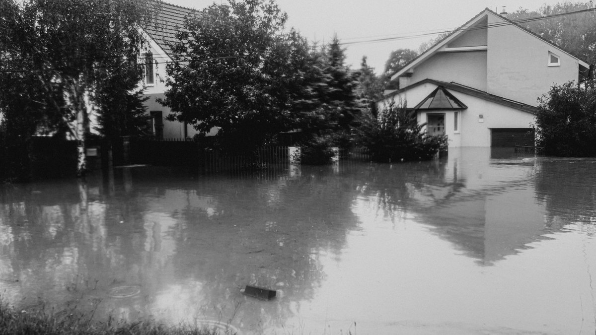 The Great Molasses Flood: The Day a Wave of Syrup Killed 21 People