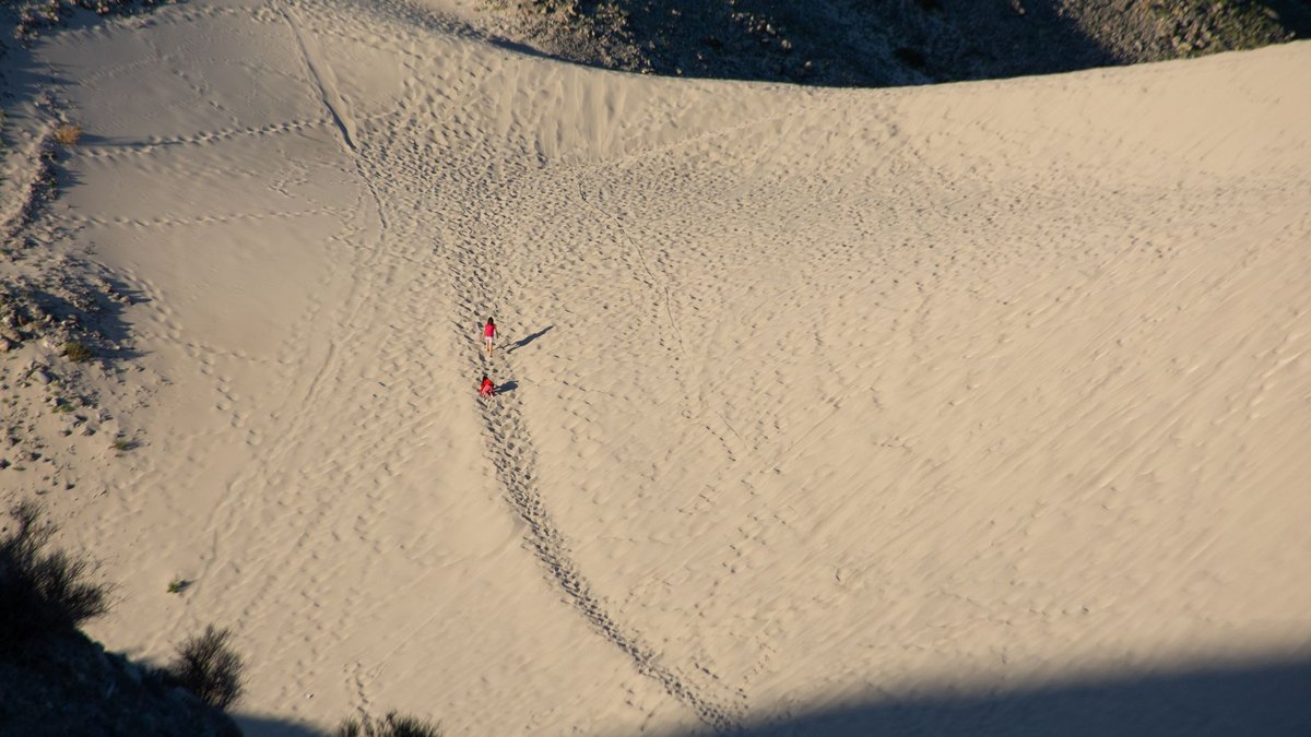 The Nazca Lines: Giant Drawings Only Visible From the Sky