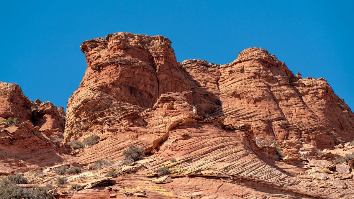 Why Mars Is Red — and How It Lost the Atmosphere That Made It Habitable